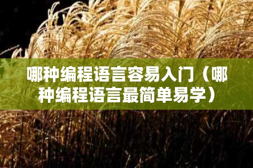 哪种编程语言容易入门（哪种编程语言最简单易学）