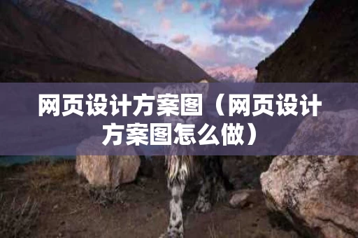 网页设计方案图（网页设计方案图怎么做）