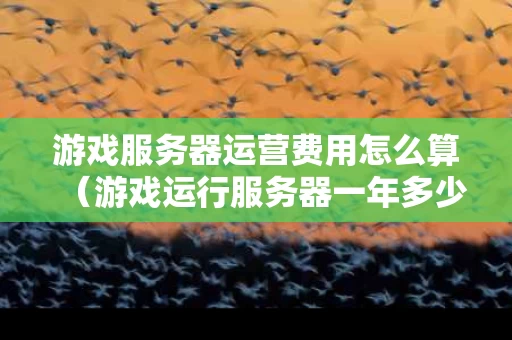 游戏服务器运营费用怎么算（游戏运行服务器一年多少钱）