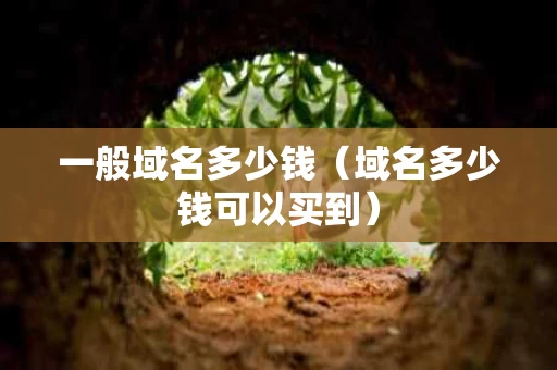 一般域名多少钱（域名多少钱可以买到）