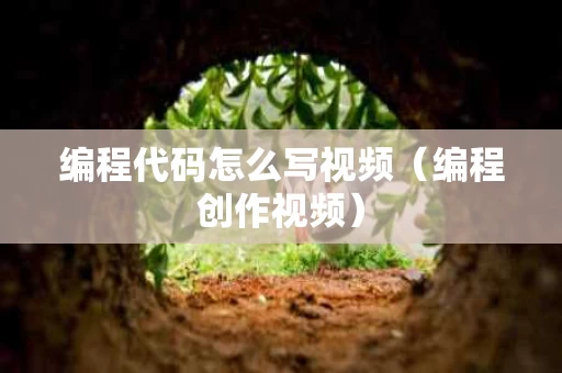 编程代码怎么写视频（编程创作视频）