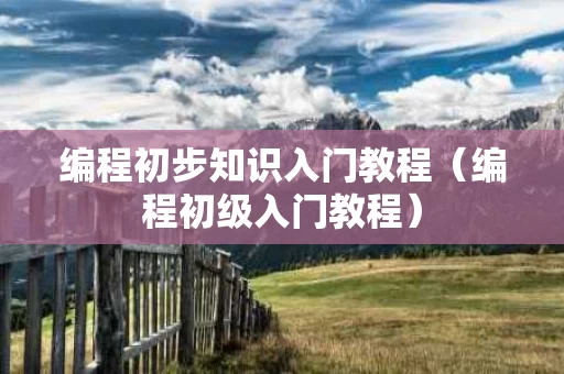 编程初步知识入门教程（编程初级入门教程）