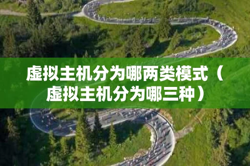 虚拟主机分为哪两类模式（虚拟主机分为哪三种）