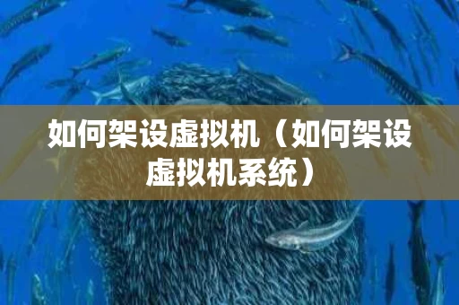 如何架设虚拟机（如何架设虚拟机系统）