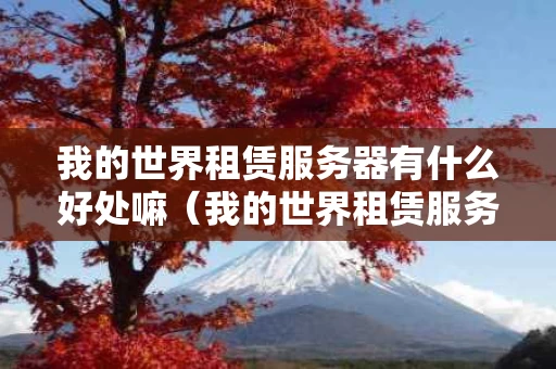 我的世界租赁服务器有什么好处嘛（我的世界租赁服务器是什么）
