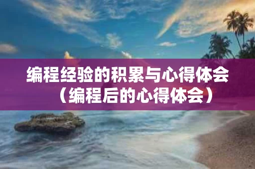 编程经验的积累与心得体会（编程后的心得体会）