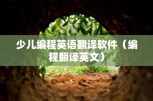 少儿编程英语翻译软件（编程翻译英文）