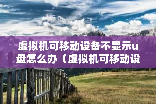 虚拟机可移动设备不显示u盘怎么办（虚拟机可移动设备不显示u盘怎么办呢）