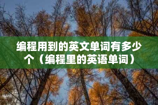 编程用到的英文单词有多少个（编程里的英语单词）