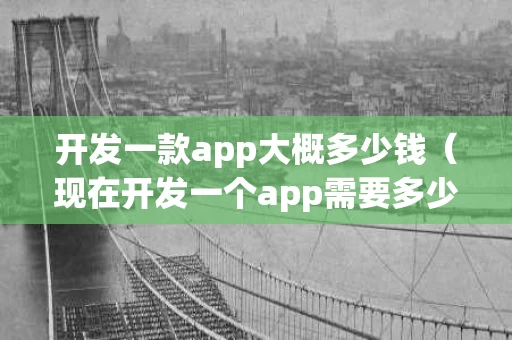 开发一款app大概多少钱（现在开发一个app需要多少钱）