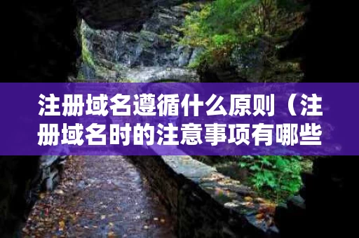 注册域名遵循什么原则（注册域名时的注意事项有哪些）