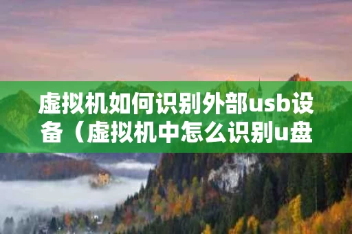 虚拟机如何识别外部usb设备（虚拟机中怎么识别u盘）