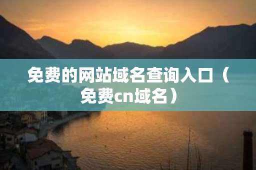 免费的网站域名查询入口（免费cn域名）