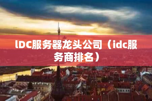 lDC服务器龙头公司（idc服务商排名）