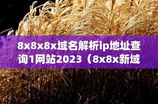8x8x8x域名解析ip地址查询1网站2023（8x8x新域名什么）