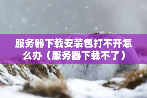 服务器下载安装包打不开怎么办（服务器下载不了）