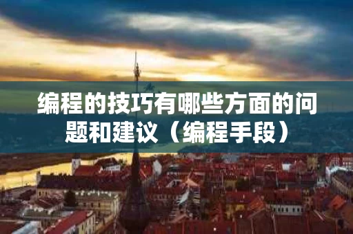 编程的技巧有哪些方面的问题和建议（编程手段）