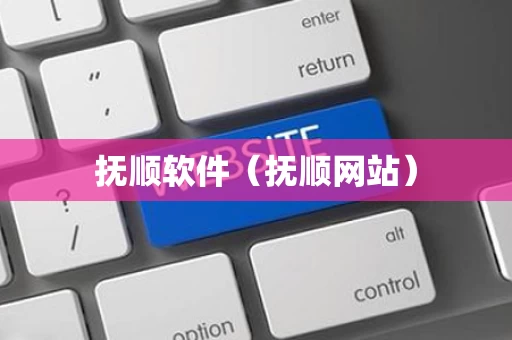 抚顺软件（抚顺网站）
