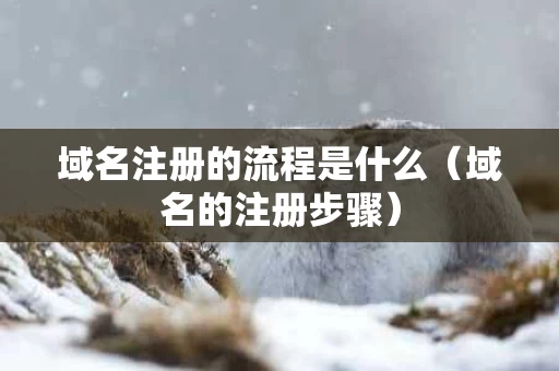 域名注册的流程是什么（域名的注册步骤）