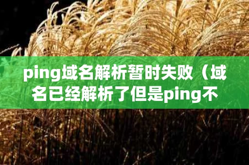 ping域名解析暂时失败（域名已经解析了但是ping不到主机）