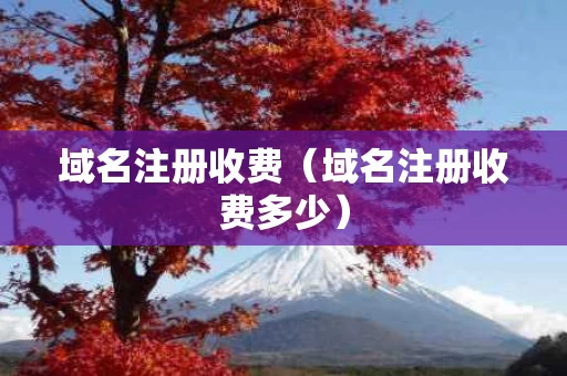 域名注册收费（域名注册收费多少）