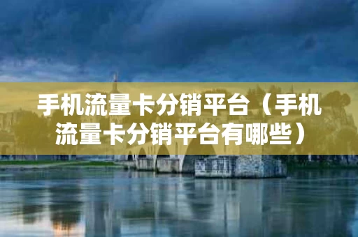 手机流量卡分销平台（手机流量卡分销平台有哪些）