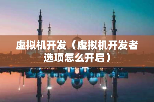 虚拟机开发（虚拟机开发者选项怎么开启）