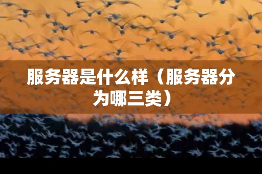 服务器是什么样（服务器分为哪三类）