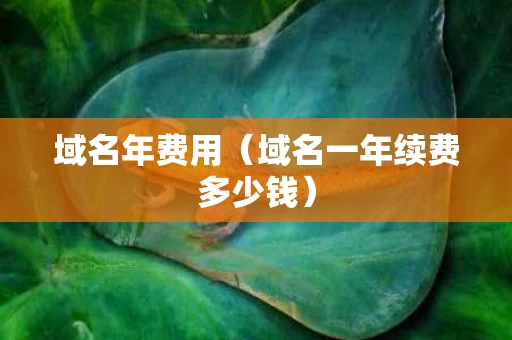 域名年费用（域名一年续费多少钱）
