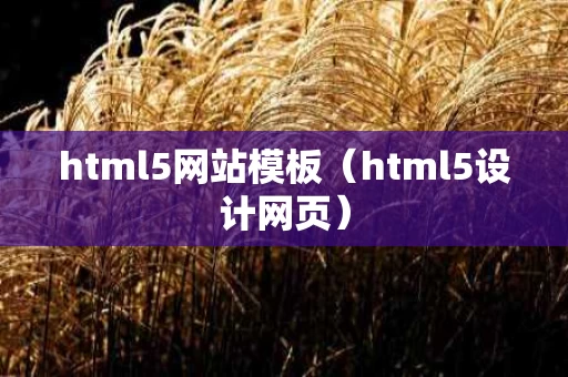 html5网站模板（html5设计网页）