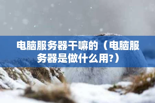 电脑服务器干嘛的（电脑服务器是做什么用?）