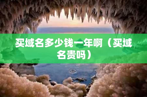 买域名多少钱一年啊（买域名贵吗）