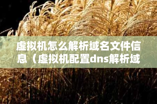 虚拟机怎么解析域名文件信息（虚拟机配置dns解析域名）