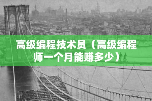 高级编程技术员（高级编程师一个月能赚多少）