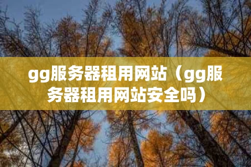 gg服务器租用网站（gg服务器租用网站安全吗）