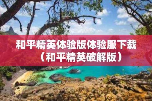和平精英体验版体验服下载（和平精英破解版）