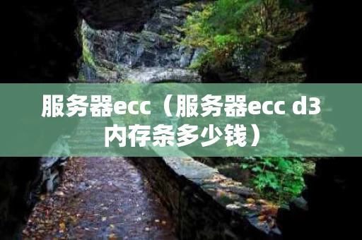 服务器ecc（服务器ecc d3内存条多少钱）