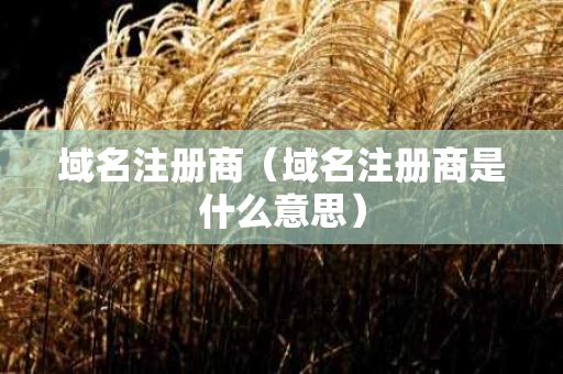 域名注册商（域名注册商是什么意思）