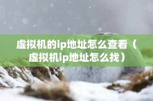 虚拟机的ip地址怎么查看（虚拟机ip地址怎么找）