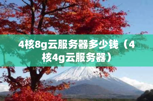 4核8g云服务器多少钱（4核4g云服务器）