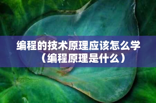 编程的技术原理应该怎么学（编程原理是什么）