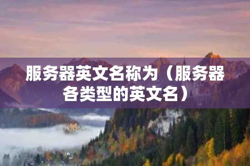 服务器英文名称为（服务器各类型的英文名）
