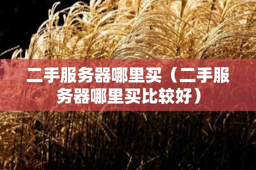 二手服务器哪里买（二手服务器哪里买比较好）