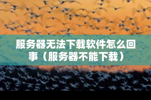 服务器无法下载软件怎么回事（服务器不能下载）