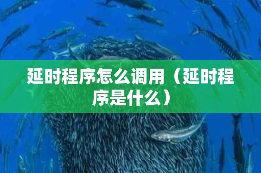 延时程序怎么调用（延时程序是什么）