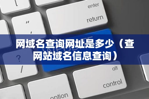 网域名查询网址是多少（查网站域名信息查询）
