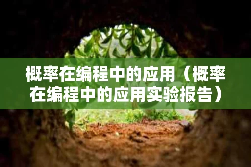 概率在编程中的应用（概率在编程中的应用实验报告）