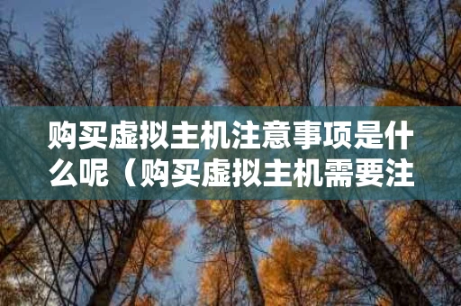 购买虚拟主机注意事项是什么呢（购买虚拟主机需要注意什么）