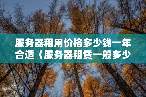 服务器租用价格多少钱一年合适（服务器租赁一般多少钱）