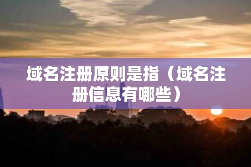 域名注册原则是指（域名注册信息有哪些）